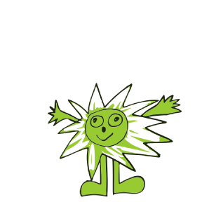 BrillaVerde